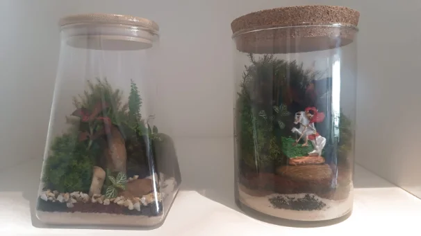 Terrário 06 — destaque
